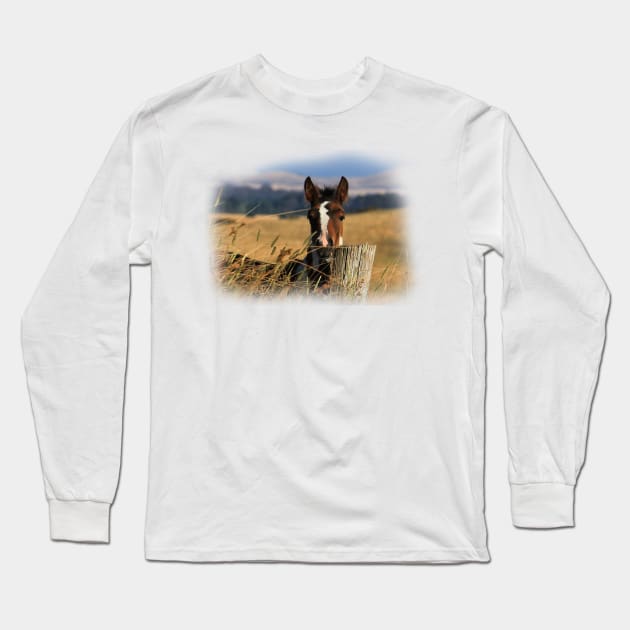 Little Pinto Long Sleeve T-Shirt by Trudes Images